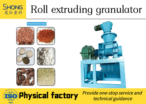 Carbon Steel Double Roller Fertilizer Granulation Equipment For Limestone